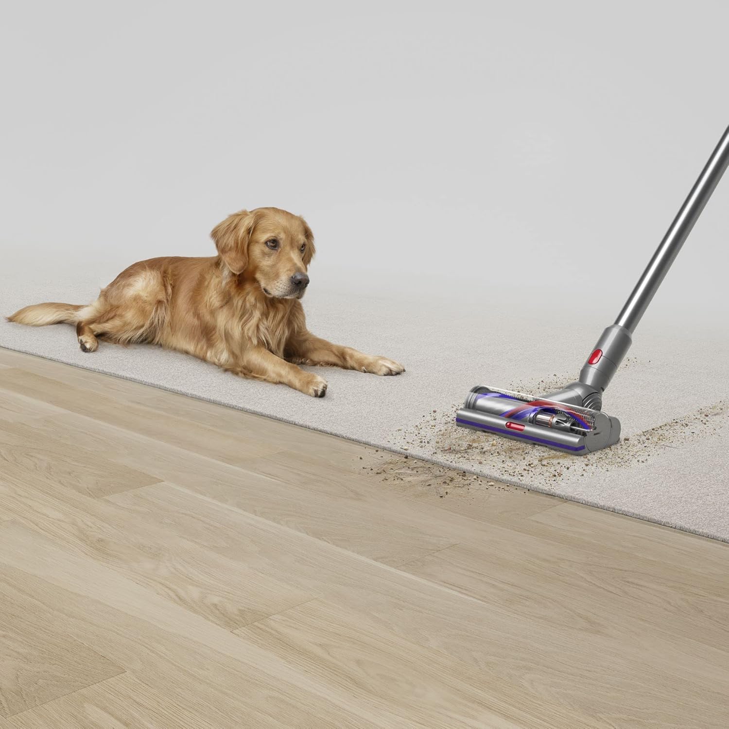 Dyson V15